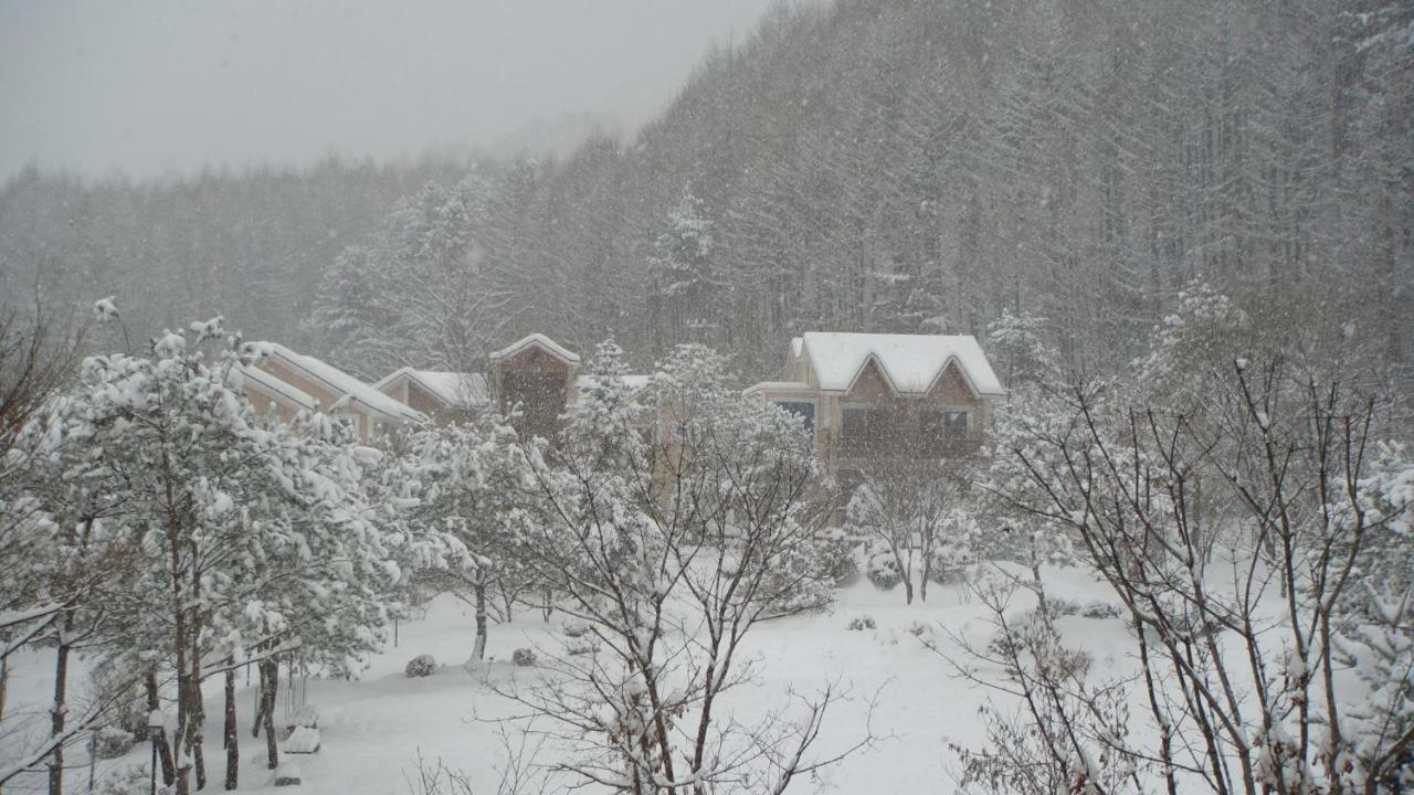 Shinevalley Pension & Hotel Pyeongchang Esterno foto